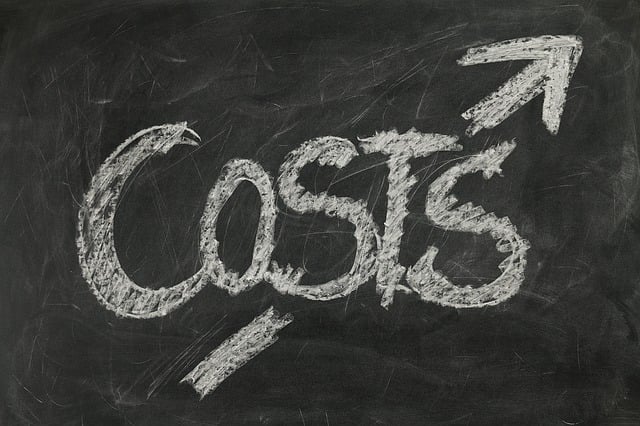 Website design cost
